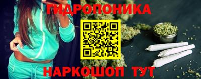 mdpv Краснознаменск