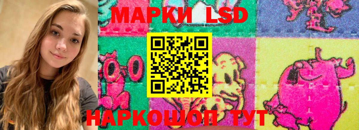 Кисловодск  LSD-25 экстази ecstasy  Вход с VPN  ЛСД экстази  LSD-25 экстази ecstasy 