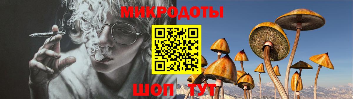 Кисловодск  Галлюциногенные грибы мицелий  Вход с VPN 